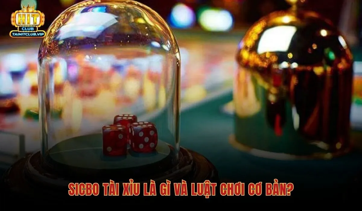 Luật chơi Sicbo tài xỉu và cách xác định kết quả ván cược