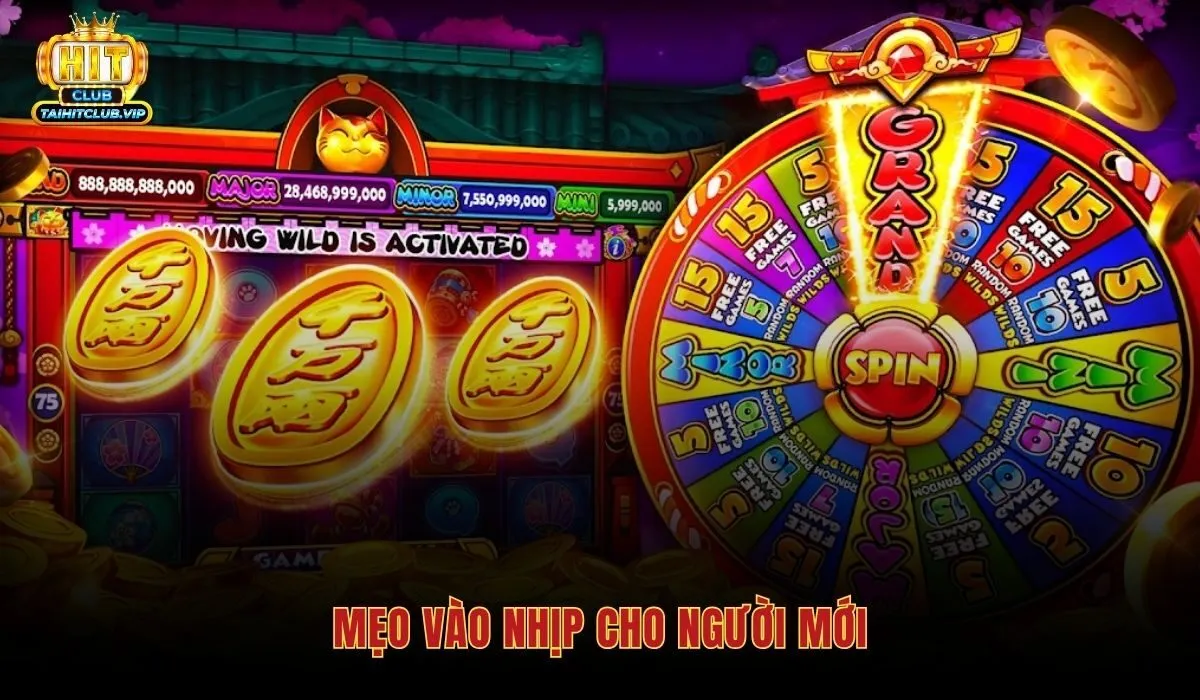 meo-vao-nhip-cho-nguoi-moi meo-vao-nhip-cho-nguoi-moi